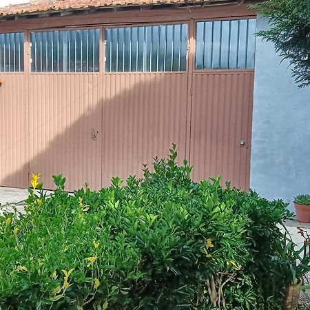 Casa Da Vovo Ceu - Casa De Campo Gandaresa - Country House, Entre Coimbra E Aveiro, A 15 Minutos Carro Praia Mira - Quintal Com Piscina Insuflavel Cantanhede Exteriör bild