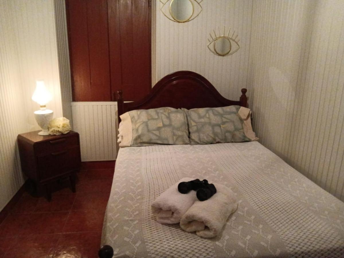Casa Da Vovo Ceu - Casa De Campo Gandaresa - Country House, Entre Coimbra E Aveiro, A 15 Minutos Carro Praia Mira - Quintal Com Piscina Insuflavel Cantanhede Exteriör bild